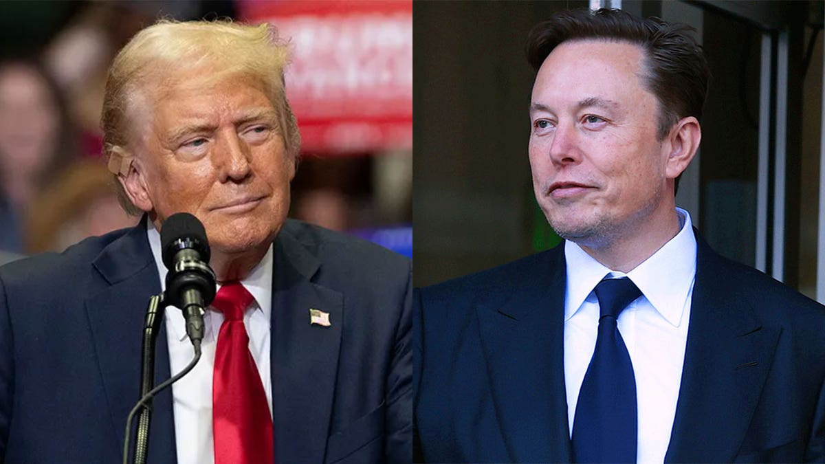 Trump and Elon Musk